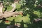024_22.jpg (360kb)