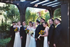 The Bridal Party (293kb)